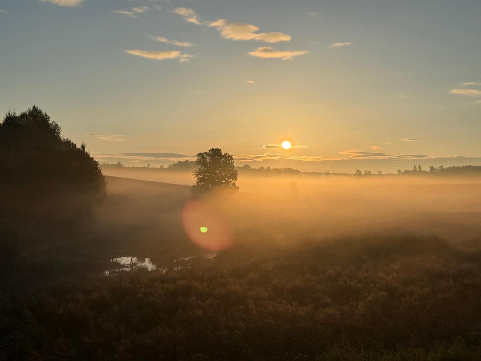 Coeur De Boeur Villa Houffalize Kültér fotó